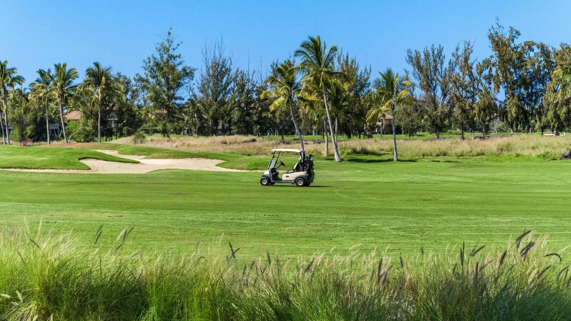 Waikoloa Beach Villas O2